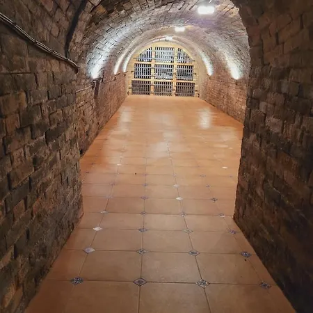 Modrý Sklep 77 * Velké Pavlovice