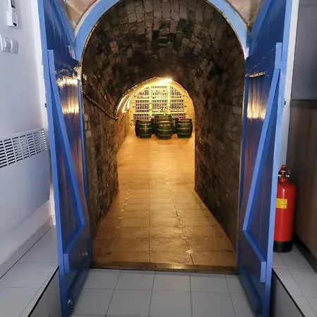 Prázdninový dům Modrý Sklep 77 Velké Pavlovice