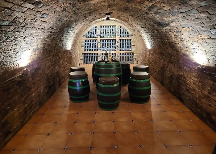 Prázdninový dům Modrý Sklep 77 *