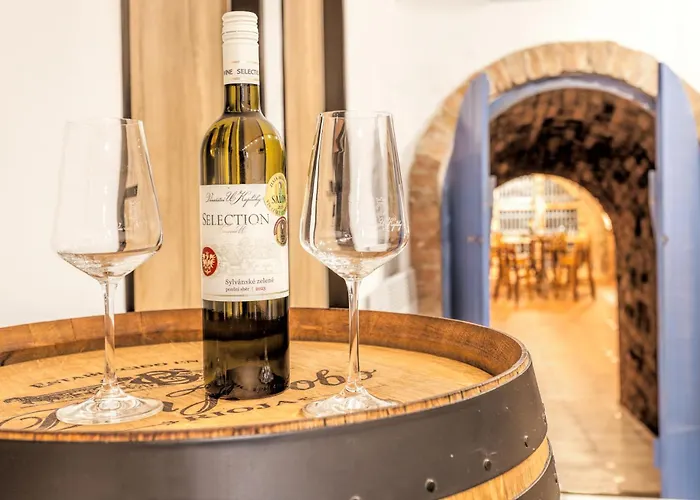 Prázdninový dům Modrý Sklep 77 Velké Pavlovice